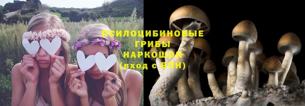 винт Алексеевка
