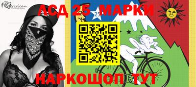 спиды Кимры