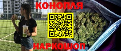 шишки Кинель