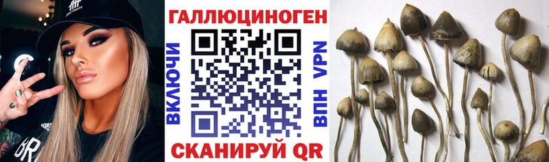 кракен ONION  Крымск  Галлюциногенные грибы MAGIC MUSHROOMS  закладка 